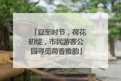 夏至时节，荷花初绽，市民游客公园寻觅荷香雅韵