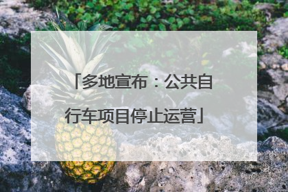 多地宣布：公共自行车项目停止运营