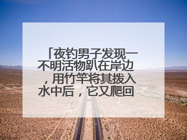 夜钓男子发现一不明活物趴在岸边，用竹竿将其拨入水中后，它又爬回岸边……