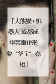 大熊猫+机器人 成都成华禁毒IP形象“华宝”亮相