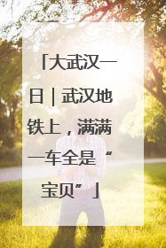 大武汉一日｜武汉地铁上，满满一车全是“宝贝”