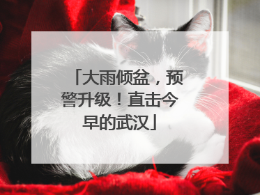 大雨倾盆，预警升级！直击今早的武汉