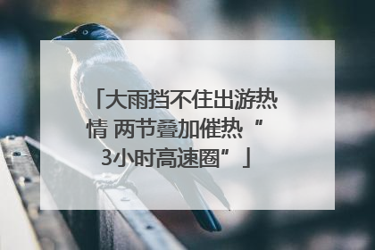 大雨挡不住出游热情 两节叠加催热“3小时高速圈”