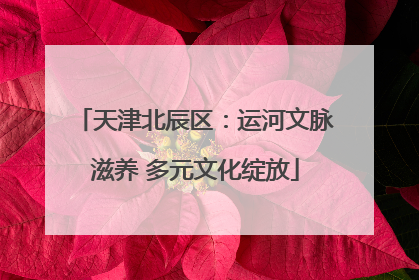 天津北辰区：运河文脉滋养 多元文化绽放
