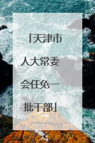 天津市人大常委会任免一批干部