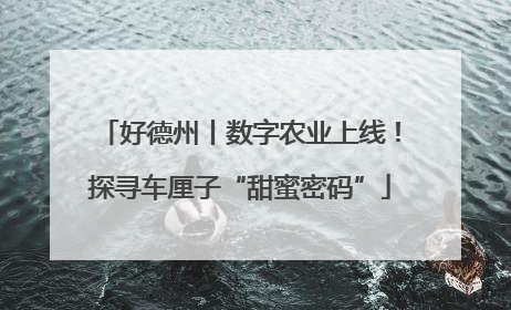 好德州丨数字农业上线！探寻车厘子“甜蜜密码”