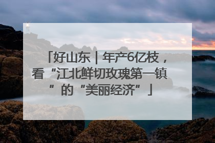 好山东｜年产6亿枝，看“江北鲜切玫瑰第一镇”的“美丽经济”