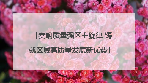 奏响质量强区主旋律 铸就区域高质量发展新优势