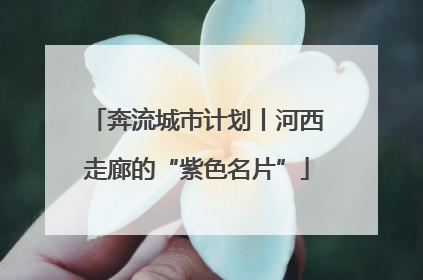奔流城市计划丨河西走廊的“紫色名片”