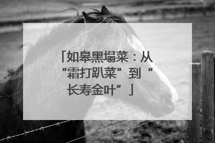 如皋黑塌菜：从“霜打趴菜”到“长寿金叶”