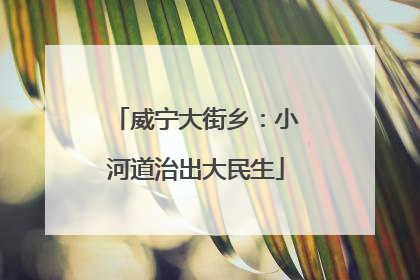 威宁大街乡：小河道治出大民生