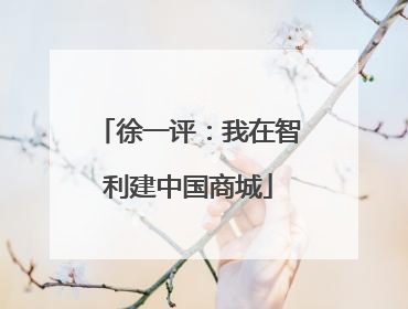 徐一评：我在智利建中国商城