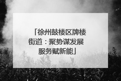 徐州鼓楼区牌楼街道：聚势谋发展 服务赋新能
