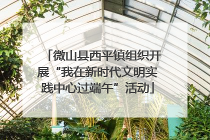 微山县西平镇组织开展“我在新时代文明实践中心过端午”活动