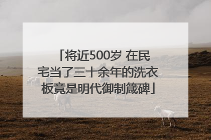 将近500岁 在民宅当了三十余年的洗衣板竟是明代御制箴碑