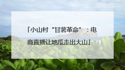 小山村“甘薯革命”：电商直播让地瓜走出大山