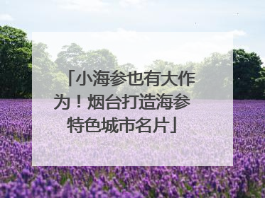 小海参也有大作为！烟台打造海参特色城市名片
