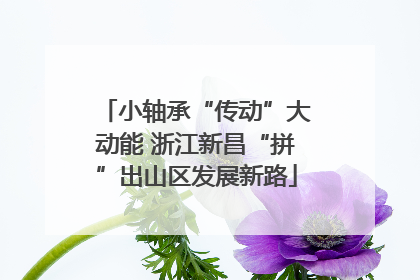 小轴承“传动”大动能 浙江新昌“拼”出山区发展新路