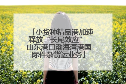 小货种精品港加速释放“长尾效应” 山东港口渤海湾港国际件杂货运业务