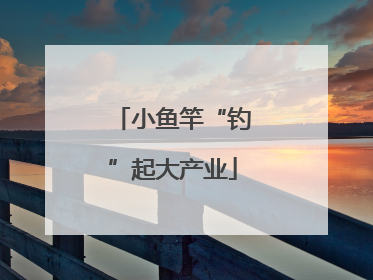 小鱼竿“钓”起大产业
