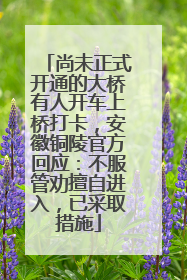 尚未正式开通的大桥有人开车上桥打卡，安徽铜陵官方回应：不服管劝擅自进入，已采取措施