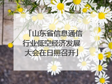 山东省信息通信行业低空经济发展大会在日照召开