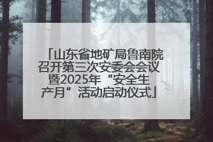 山东省地矿局鲁南院召开第三次安委会会议暨2025年“安全生产月”活动启动仪式