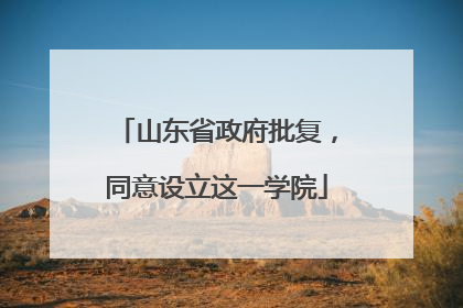 山东省政府批复，同意设立这一学院