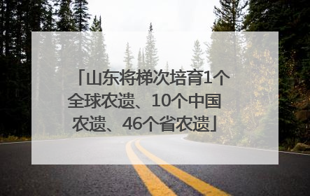 山东将梯次培育1个全球农遗、10个中国农遗、46个省农遗
