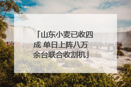 山东小麦已收四成 单日上阵八万余台联合收割机