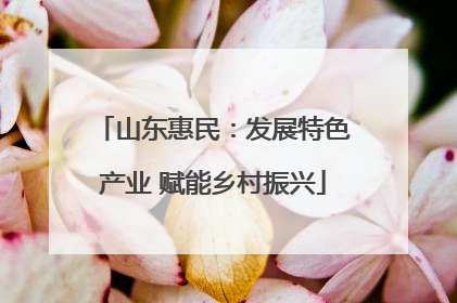山东惠民：发展特色产业 赋能乡村振兴