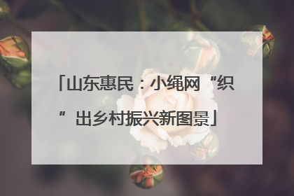 山东惠民：小绳网“织”出乡村振兴新图景