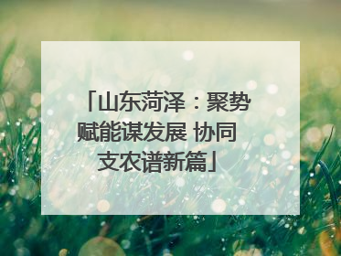 山东菏泽：聚势赋能谋发展 协同支农谱新篇