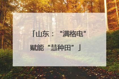 山东：“满格电”赋能“慧种田”