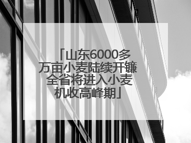 山东6000多万亩小麦陆续开镰 全省将进入小麦机收高峰期
