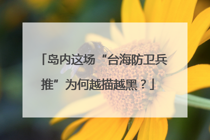 岛内这场“台海防卫兵推”为何越描越黑？