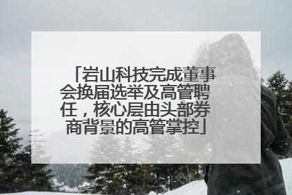 岩山科技完成董事会换届选举及高管聘任，核心层由头部券商背景的高管掌控