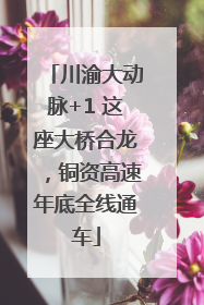 川渝大动脉+1 这座大桥合龙，铜资高速年底全线通车