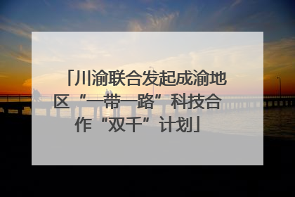 川渝联合发起成渝地区“一带一路”科技合作“双千”计划