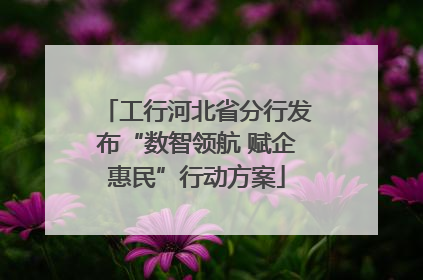 工行河北省分行发布“数智领航 赋企惠民”行动方案