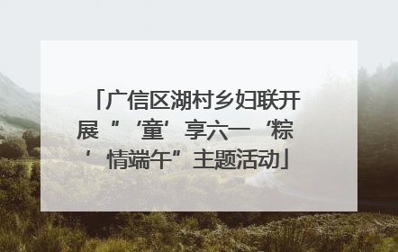 广信区湖村乡妇联开展“‘童’享六一‘粽’情端午”主题活动