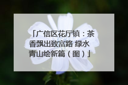 广信区花厅镇：茶香飘出致富路 绿水青山绘新篇（图）