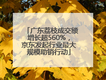 广东荔枝成交额增长超560%，京东发起行业最大规模助销行动