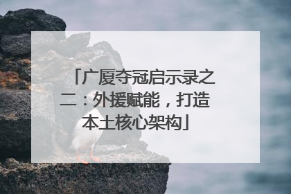 广厦夺冠启示录之二：外援赋能，打造本土核心架构