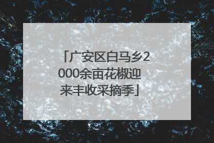广安区白马乡2000余亩花椒迎来丰收采摘季