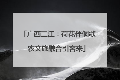 广西三江：荷花伴侗歌 农文旅融合引客来