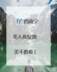 广西南宁美人蕉绽放美不胜收