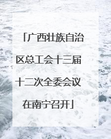 广西壮族自治区总工会十三届十二次全委会议在南宁召开