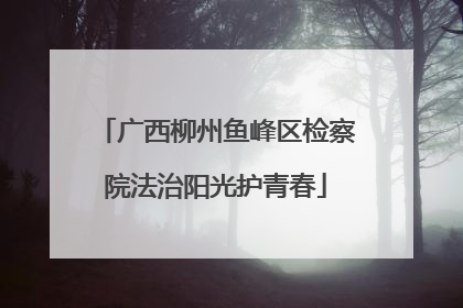 广西柳州鱼峰区检察院法治阳光护青春