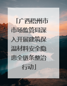 广西梧州市市场监管局深入开展建筑保温材料安全隐患全链条整治行动
